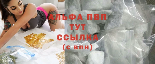 ПСИЛОЦИБИНОВЫЕ ГРИБЫ Абаза