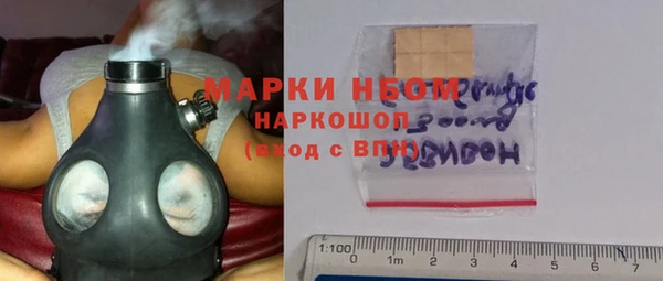 ПСИЛОЦИБИНОВЫЕ ГРИБЫ Абаза