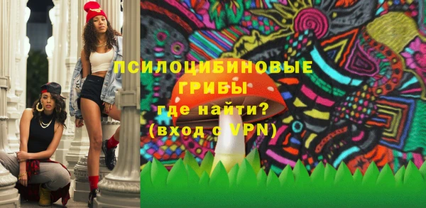 дмт Осинники