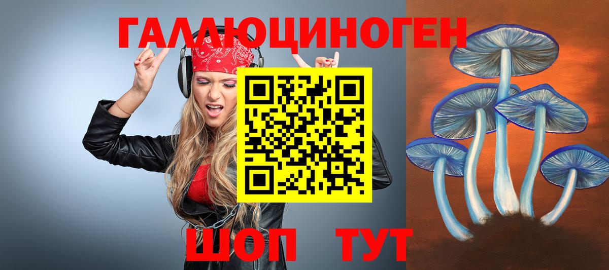 Псилоцибиновые грибы Psilocybine cubensis  Вход с VPN  Усть-Кут 