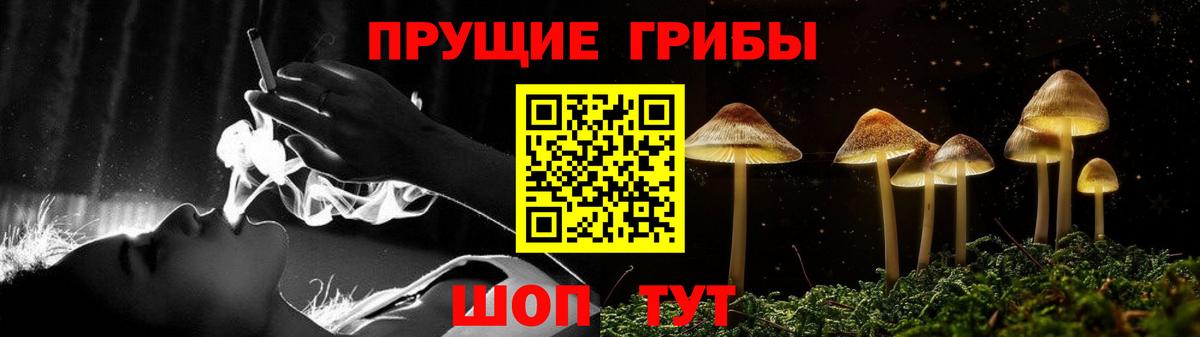 Псилоцибиновые грибы GOLDEN TEACHER Усть-Кут